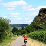 1907G 024 Mosel und Rhein